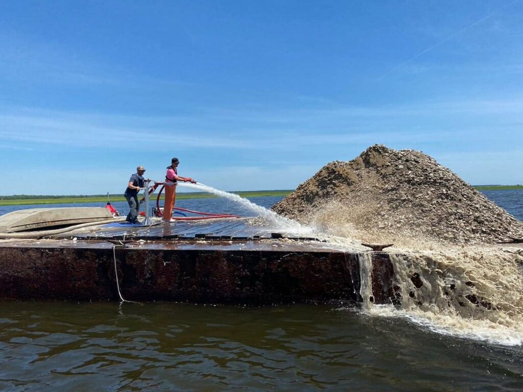 Why Recycle Oyster Shells?