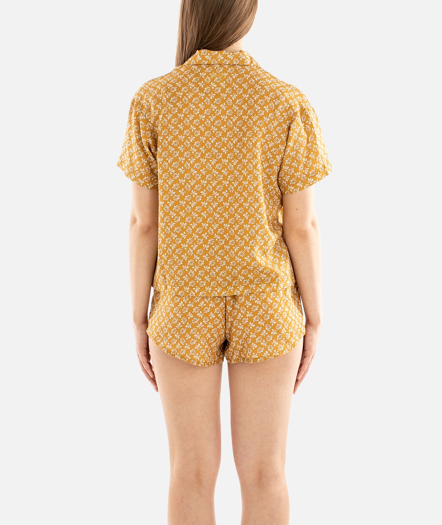 Top Cape Cod - Amarillo