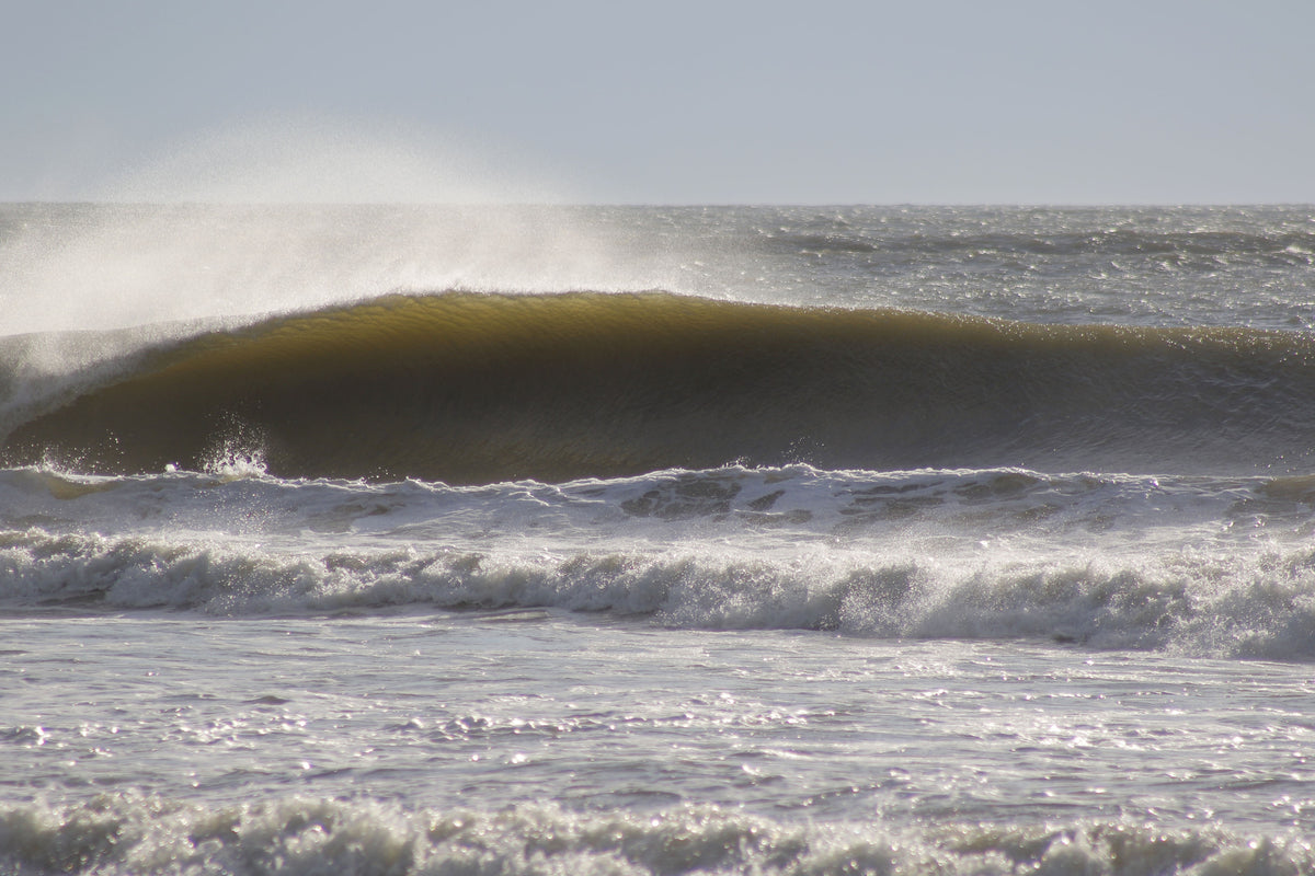 Hermine '16