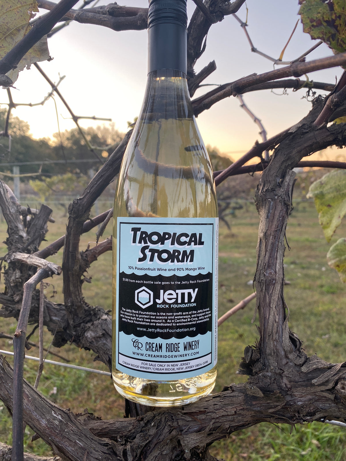 Tropical Storm: Batch #2