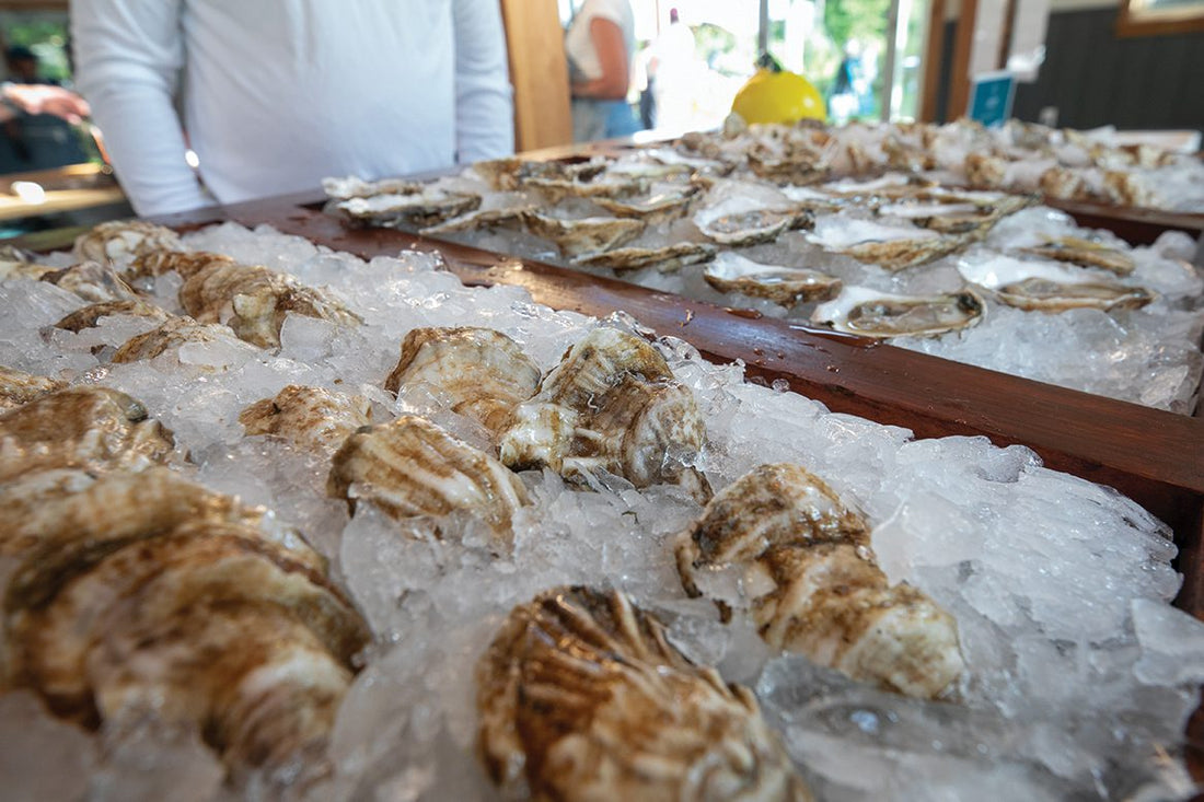 Oysters, Farmers, & Resiliency
