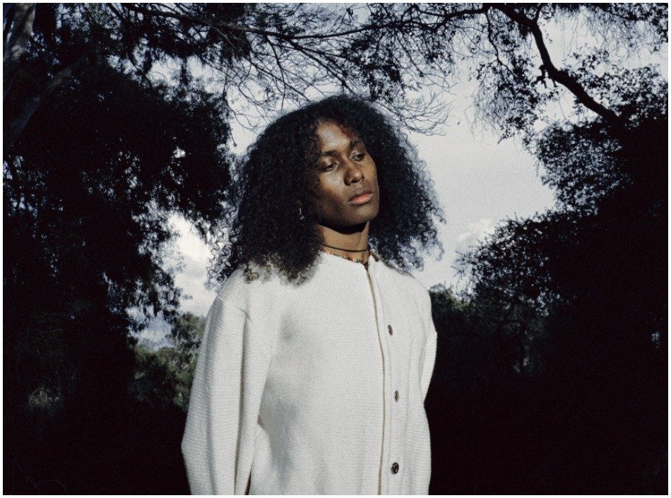 "Marigold" by Jelani Areyah