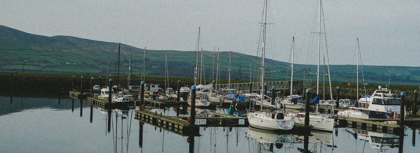 Shenanigans Collection