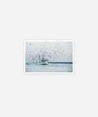 The Dana Christine Greeting Card - Assorted - Jetty
