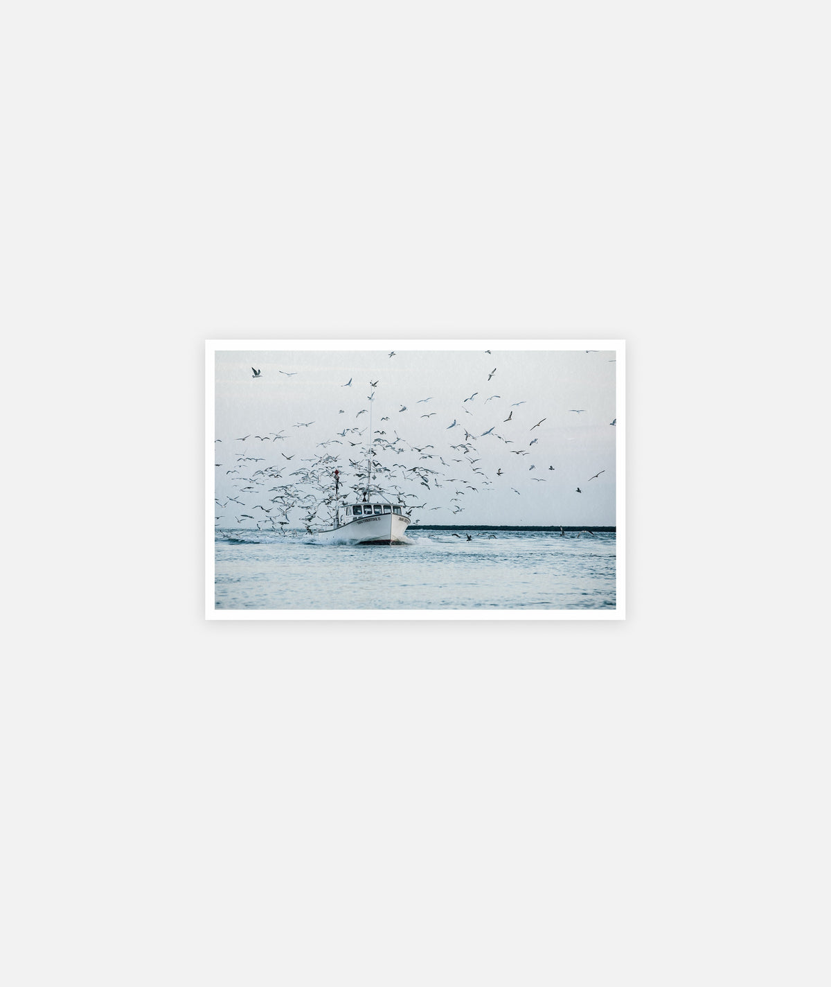 The Dana Christine Greeting Card - Assorted - Jetty