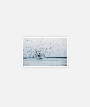 The Dana Christine Greeting Card - Assorted